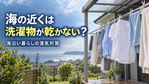 海の近くの戸建てで洗濯物を外干しする様子と海沿い暮らしの湿気対策